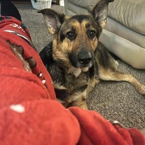 Meet your Posher, Paula